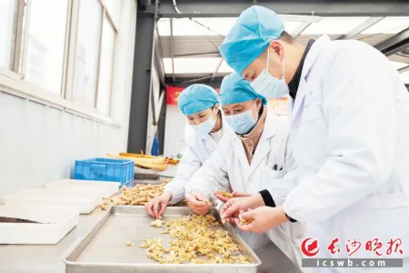 走进制剂室，揭开“如法炮制”神秘面纱丨医院里 你不知道的